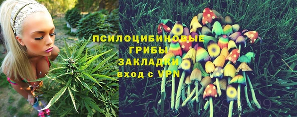 apvp Алексеевка