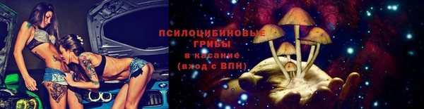 гидра Алзамай