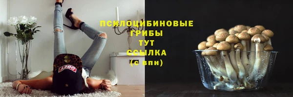 гашиш Саяногорск