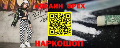 мдпв Кингисепп