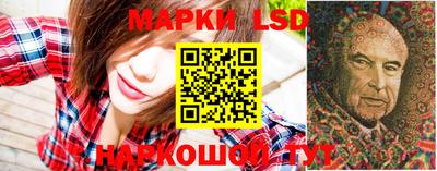 мдпв Кингисепп