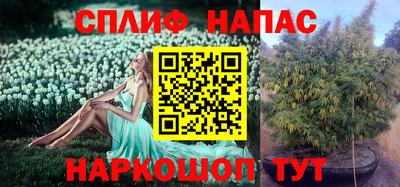 стаф Кимры
