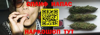 стаф Кимры