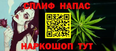 мдпв Кингисепп