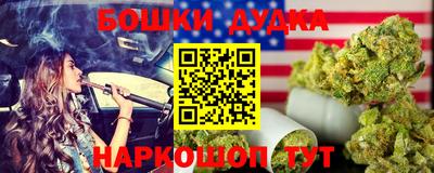 мдпв Кингисепп