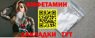 мдпв Кингисепп