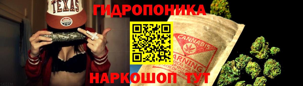Шишки марихуана планчик Коряжма